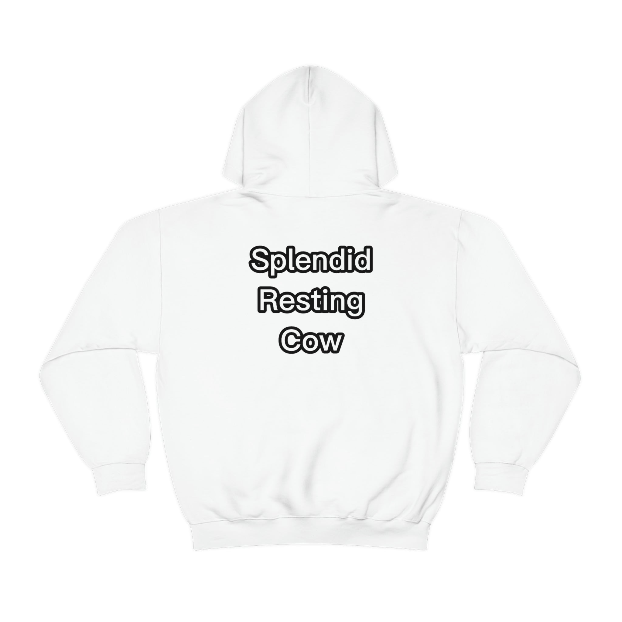 Splendid hoodie discount